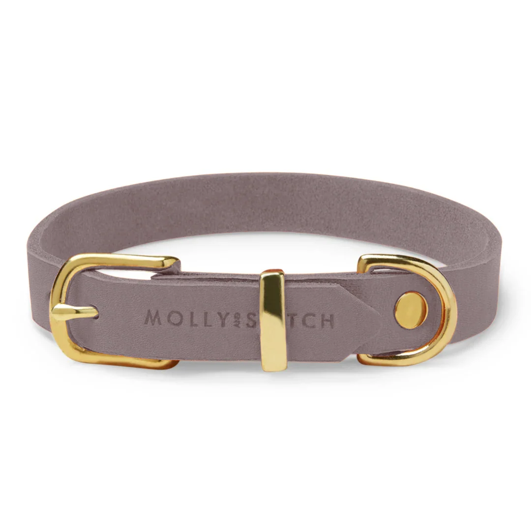 Molly and Stitch Butter Leather täisnahast kaelarihm